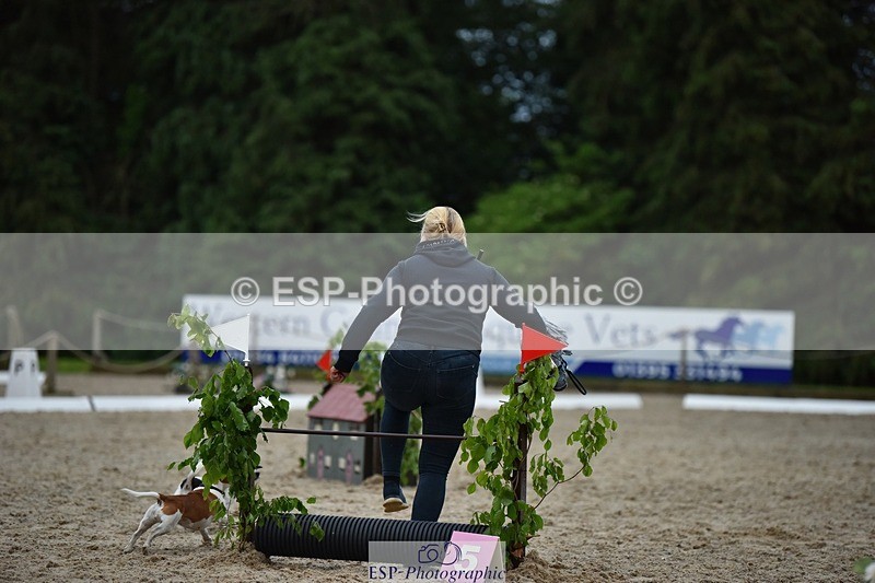 240523-202652-06885 - Hobby Horse Comp