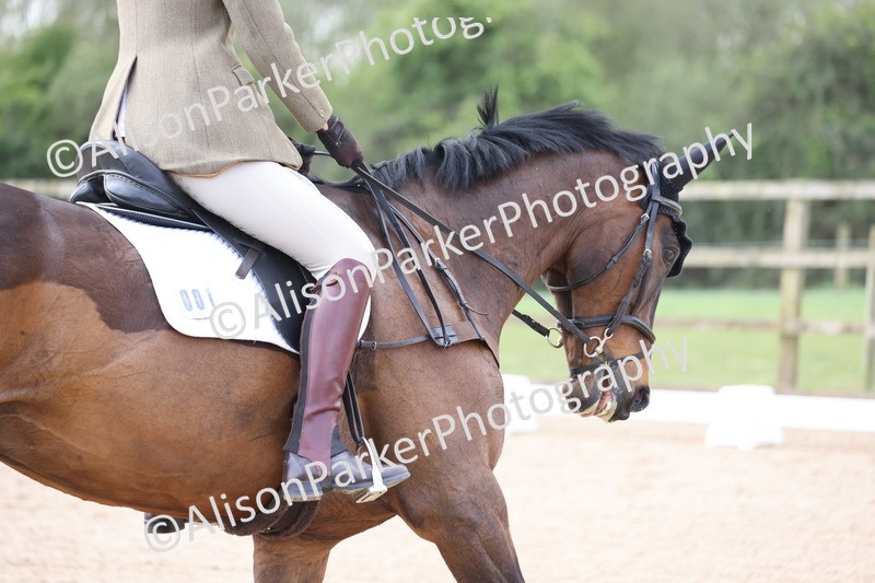 20260415-0324 - Class 5 - Novice 1