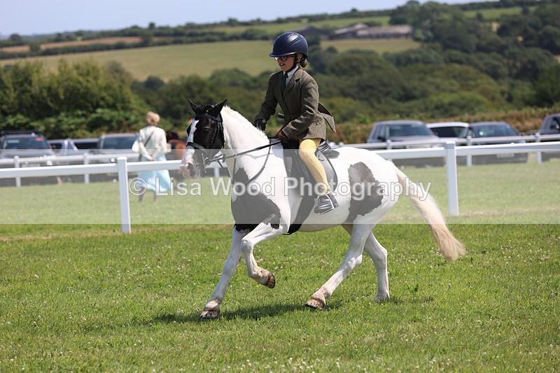 JPP_3088 - Class 22: Working Hunter 70cm