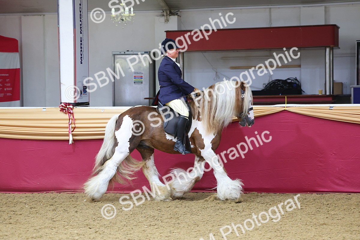 SBM_24517 - Class 906 - Supreme Final - Ridden Pre Vet