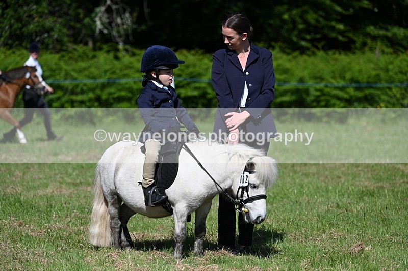 WJ7_0632 - Class 8 First Rally Pony
