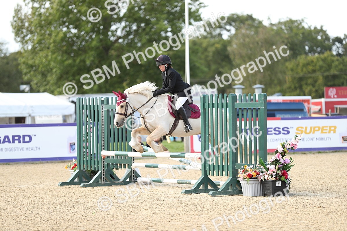 SBM_08481 - J30 - Senior Horse & Pony 70cm Championship