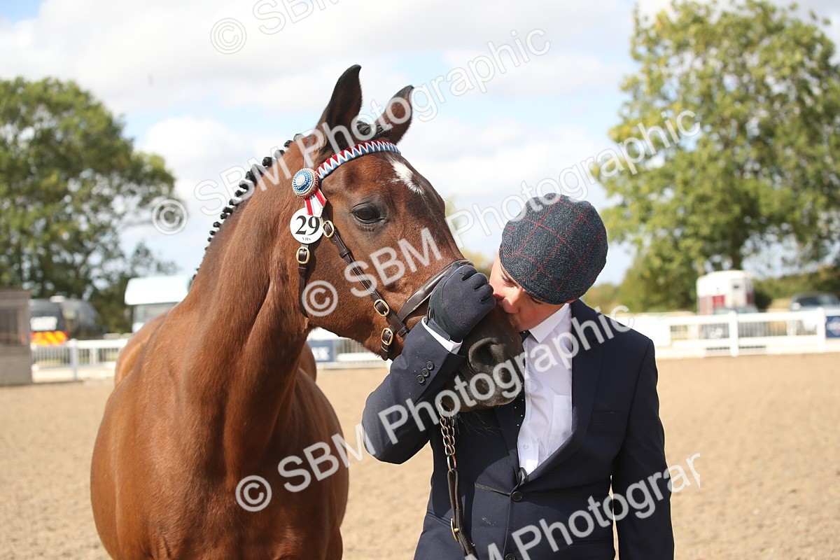SBM_23454 - Class 604 - 2026 - Area IH Diamond