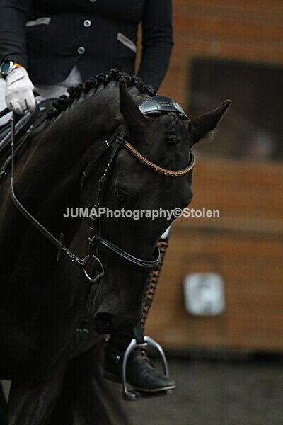 SIAL5709 - CAbin Dressage 5th july 2025
