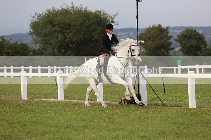 JPP_4729 - Working Hunter Championship