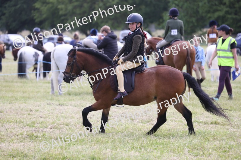 20260614-1834 - Class 21 - Novice Working Hunter Pony