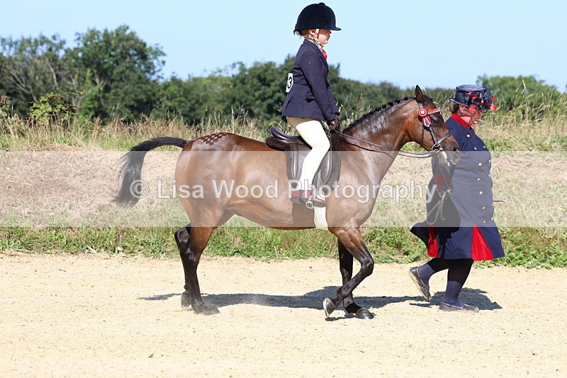 3E7A8020 - Class 15: Lead Rein