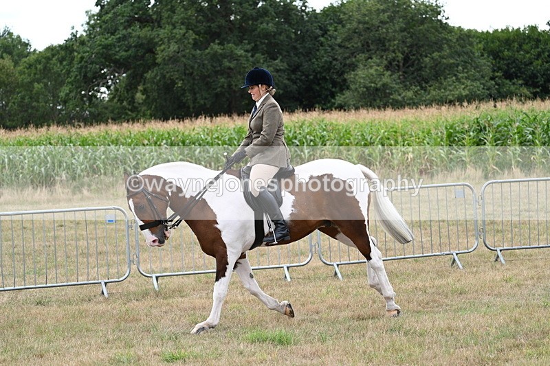 WJ7_5102 - Class 12 Ridden Cob