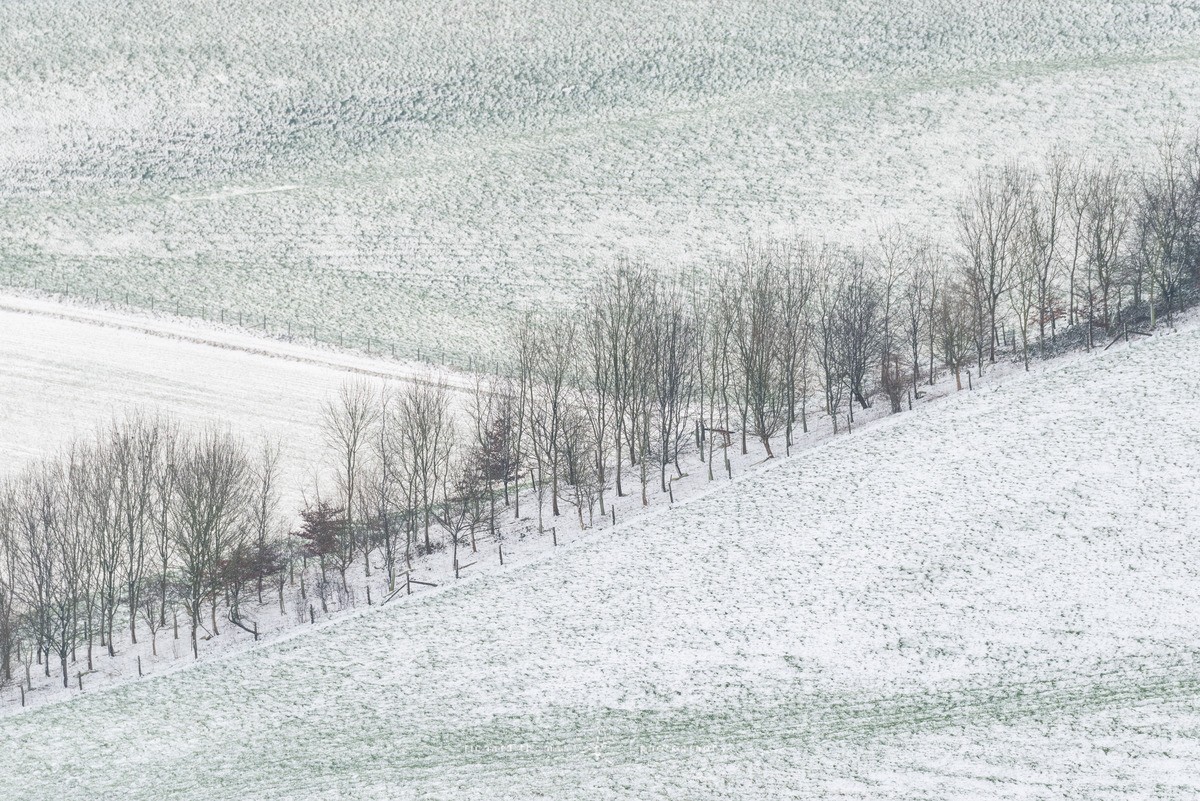 South Downs sprinkling - WINTER