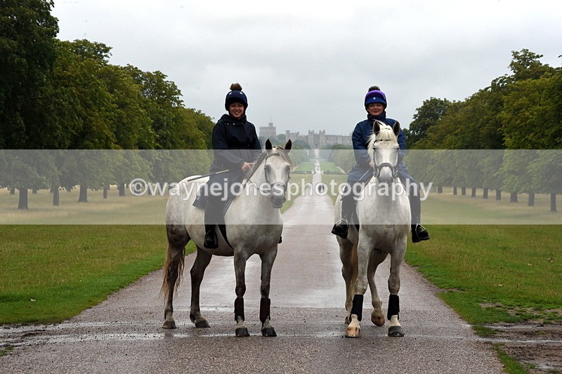 TT3_8171 - Time at Crossing 09:15 to 10:15