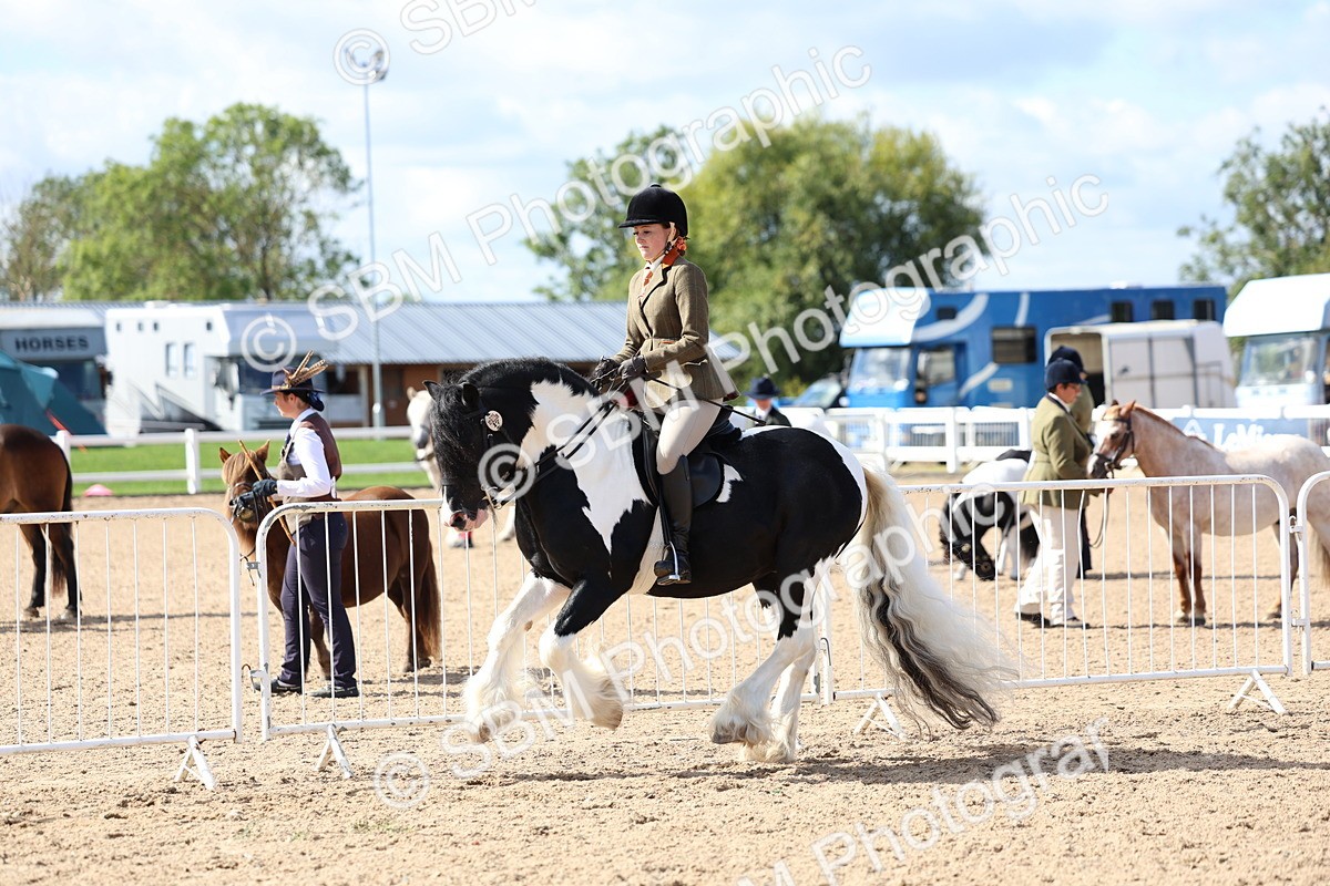 SBM_11390 - Class 307 - Ridden Coloured Pony