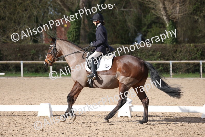 20260228-0851 - Class 6 - Novice 3