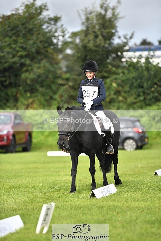 230826-095219-15269 - Sections C & D 9 to 10am