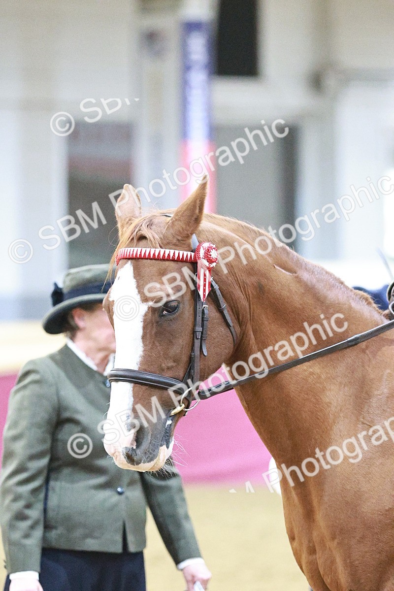 SBM_08129 - Class 11R - Regional Ridden Veteran