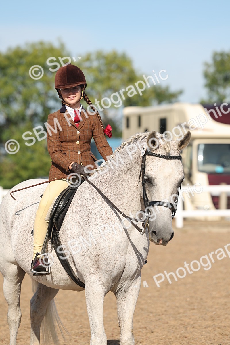 SBM_12351 - Class 304 - Ridden part Bred Horse Pony