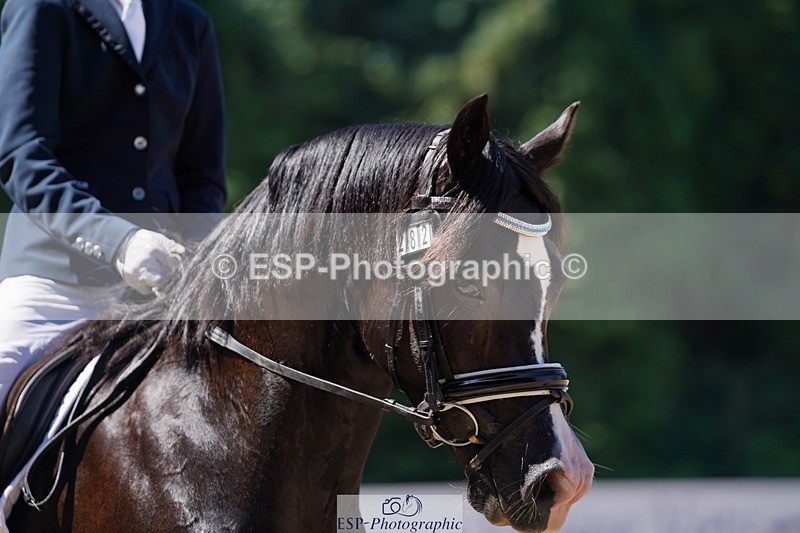 240719-112952-01151 - 282-Edward_Collis-Eglwysfach_Blodwen