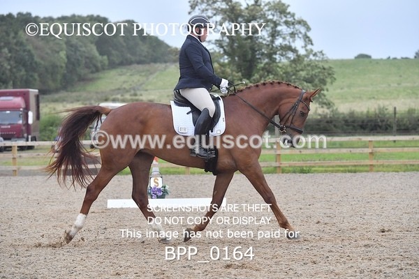 BPP_0164 - NOVICE 4 & 6