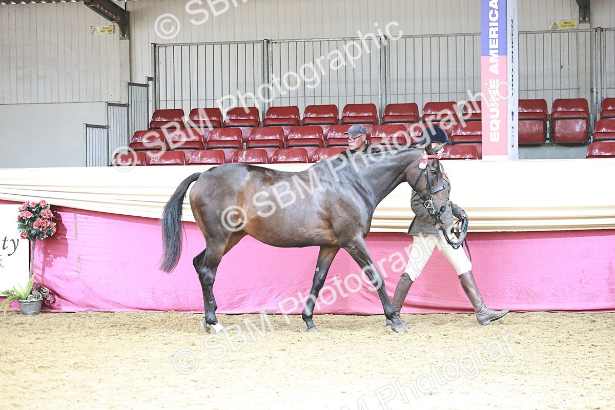 SBM_04703 - Class 7R - Regional IH Diamond