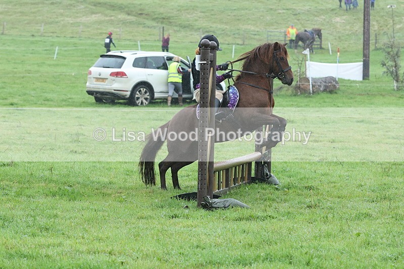 JPP_4952 - Class 1: 65cm : Showjumping