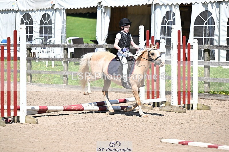 240729B-114321-02509 - Showjumping Competition