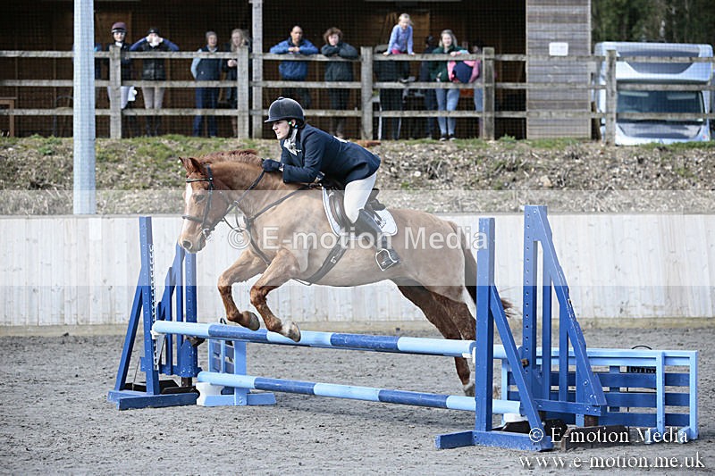 BVRC SJ 170319 208 - Bourne Valley Riding Club Showjumping 17/03/19