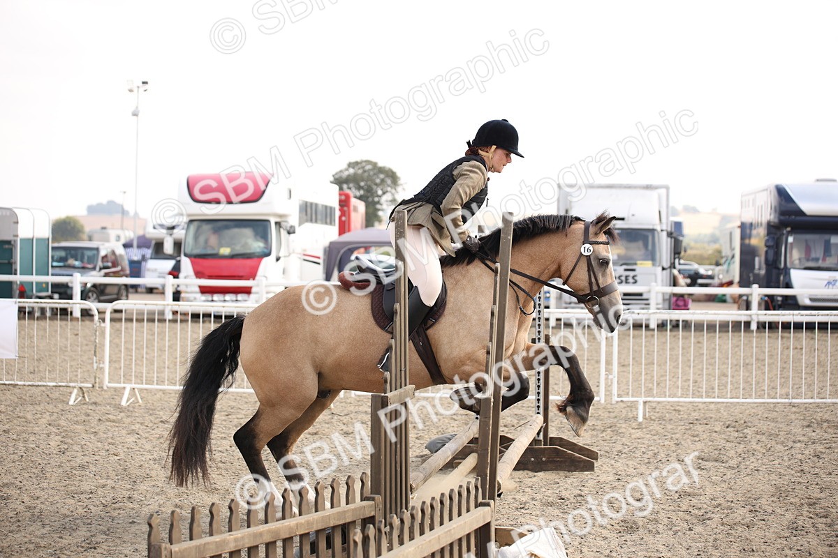 SBM_14150 - Class 407a - Working Veteran 60cm (15-19