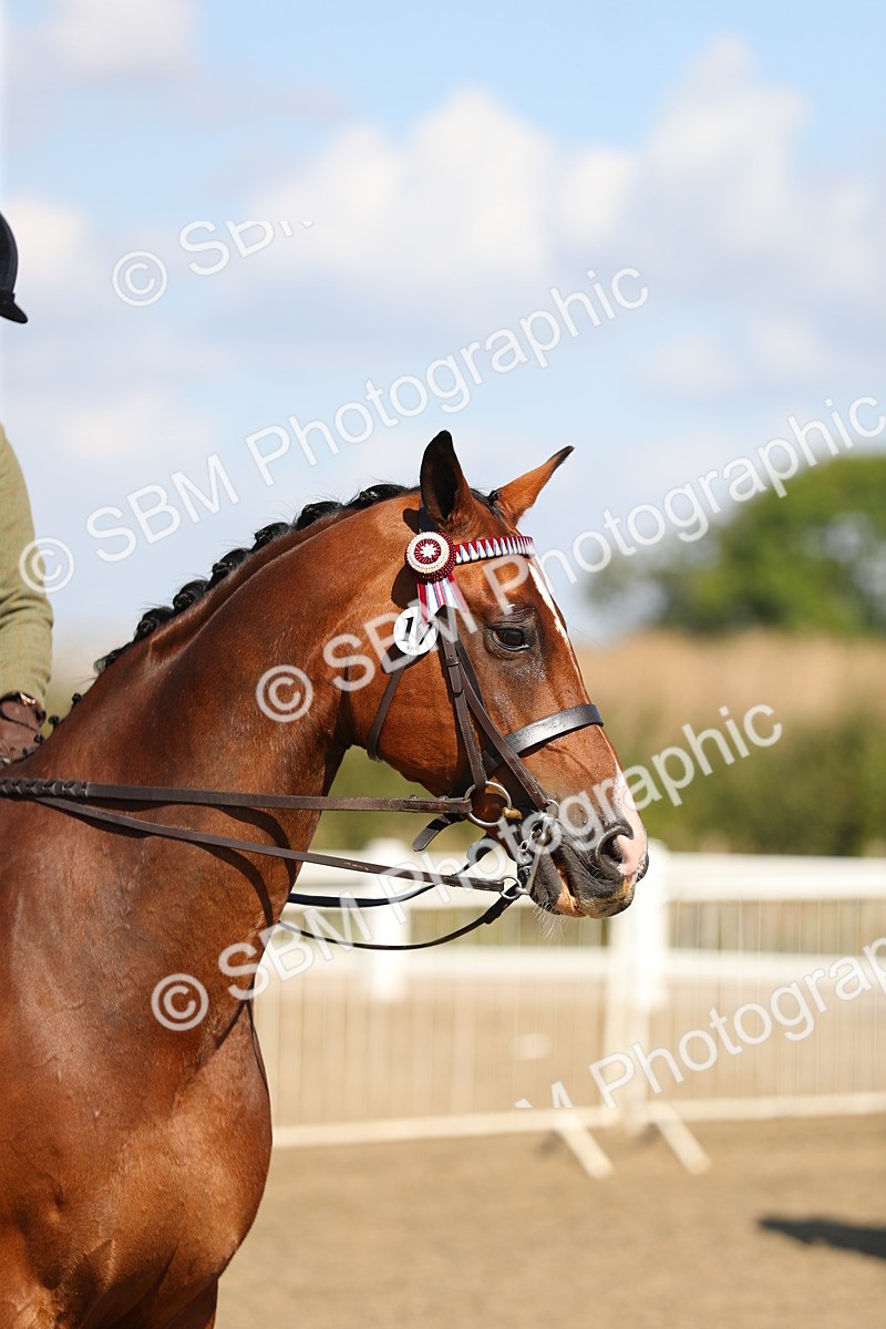 SBM_02343 - Class 43 Ridden Competition Horse/Pony