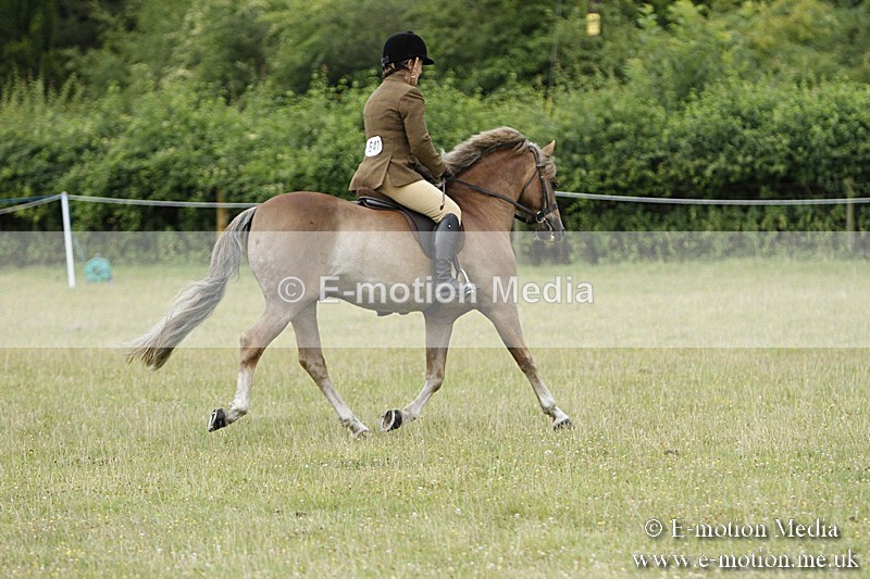 BVR160717-126 - Ring 3 BVRC Show 16/07/17