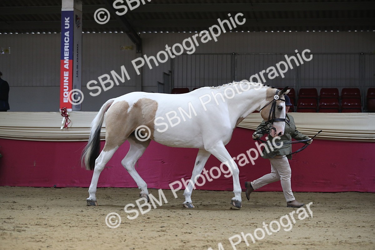 SBM_01286 - Class 3a Area IH Pre Vet
