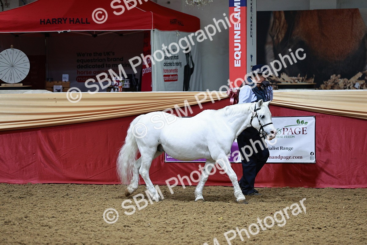SBM_00856 - Class 2A - Area IH Veteran