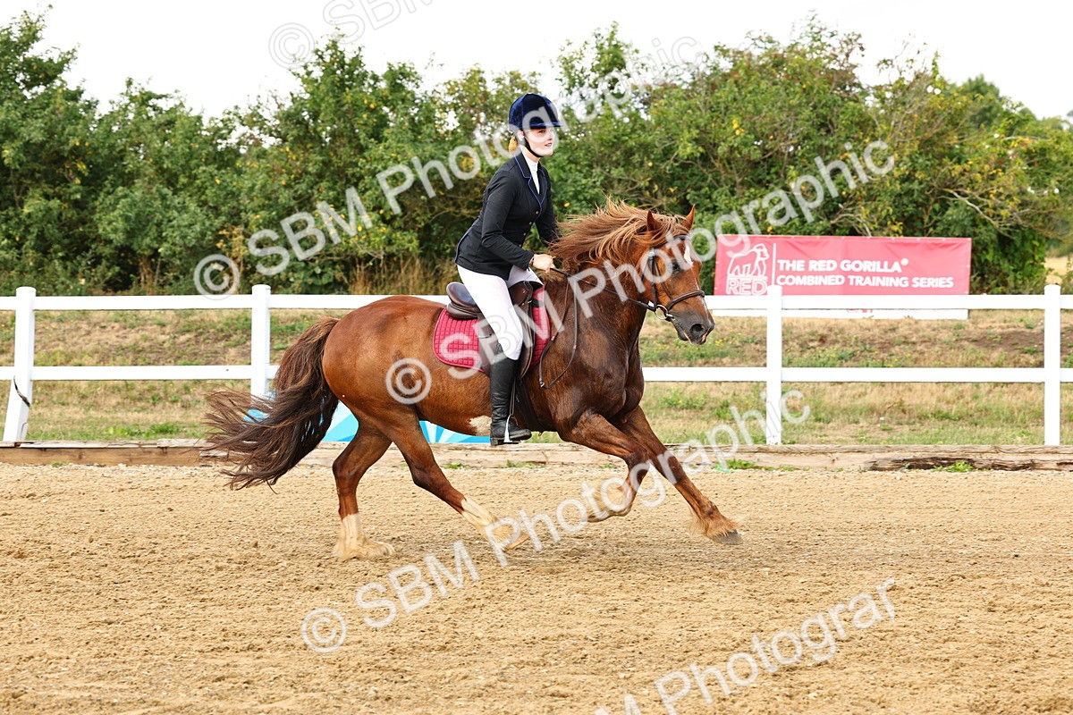 SBM_002637 - Class 7 - 1.00m