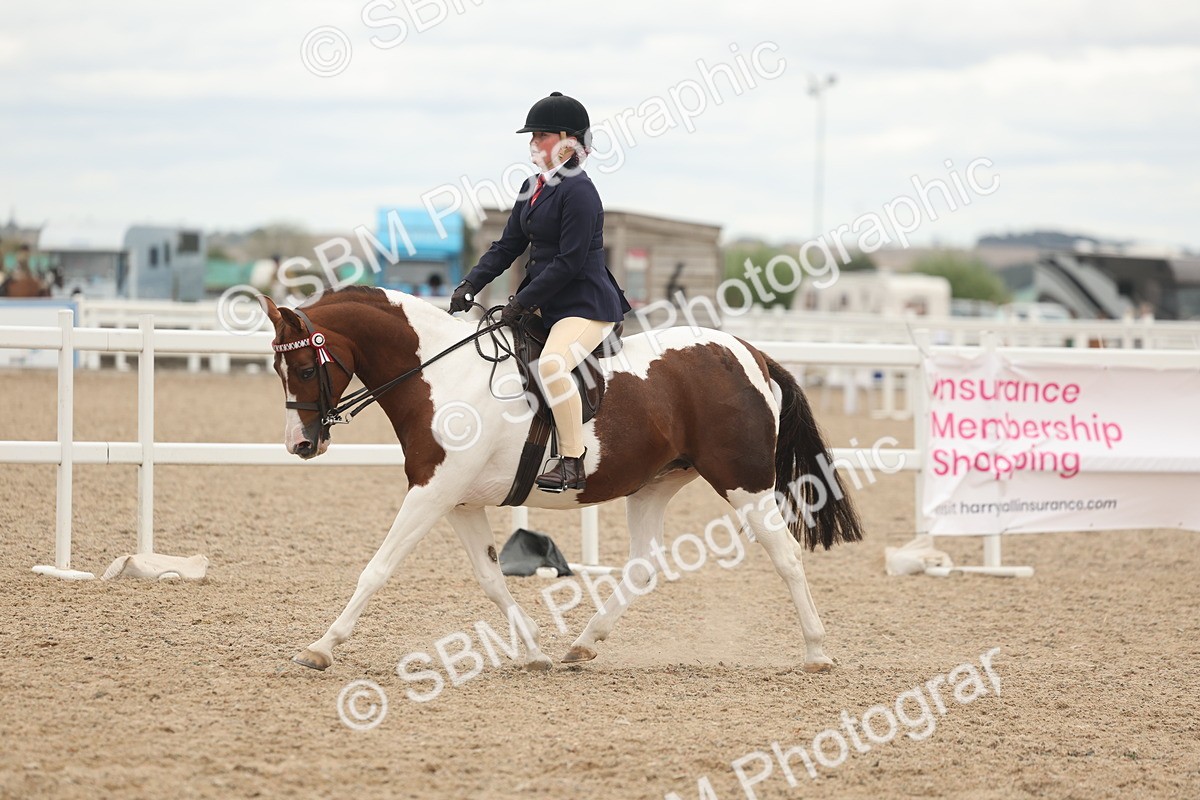 SBM_19160 - Class 316 - Best Pony-Rider Combination