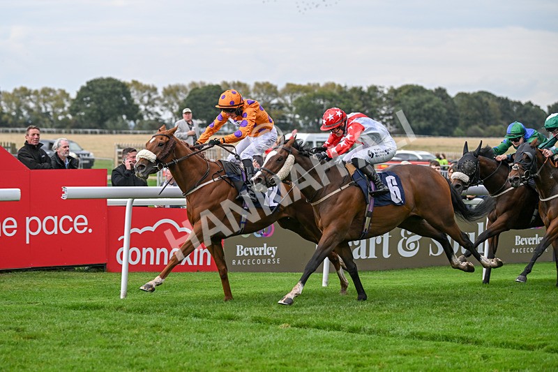 240924-Race 5-Ifonlytheycudtalk-6494 - Race 5