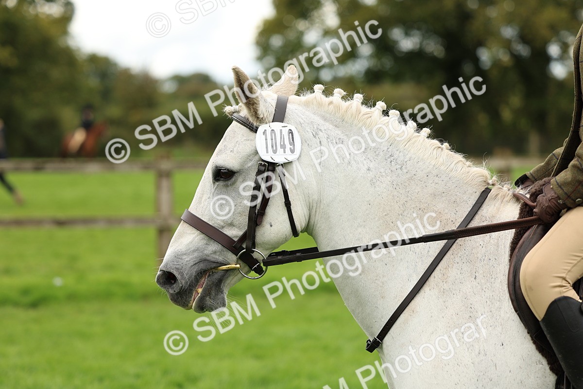 SBM_45344 - S33 - Working Hunter Pony