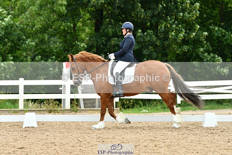 230630A-115237-01715 - Cls 7 Elementary 45