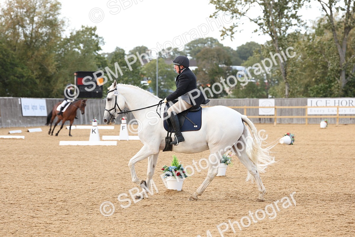 SBM_28294 - D20 - Grand Tour Championship Elementary 3