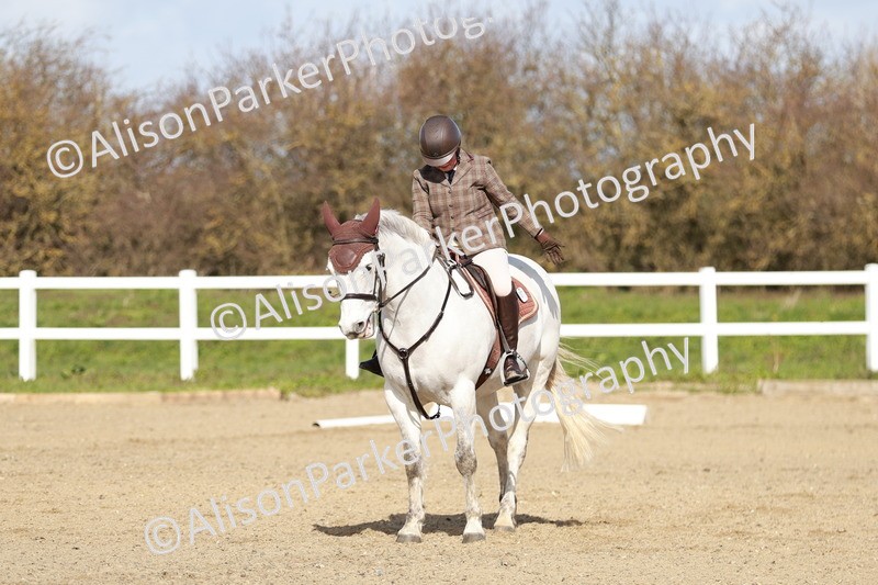 20260314-2824 - DR3 - Prelim 1