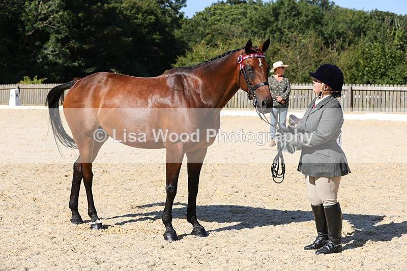 1X9A7923 - Class 10:Riding Horse