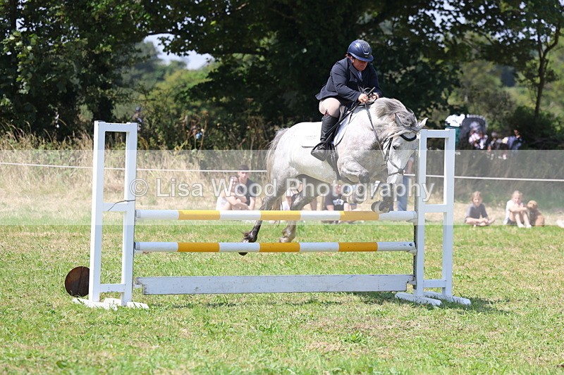 3E7A2919 - Class 7: Senior British Novice/90cm open