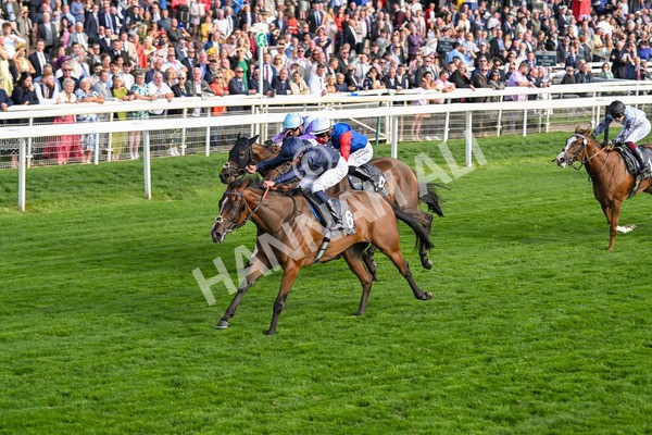 210825-Race 7-Royal Velvet-5648 - Race 7 5.20pm British EBF Fillies' Handicap