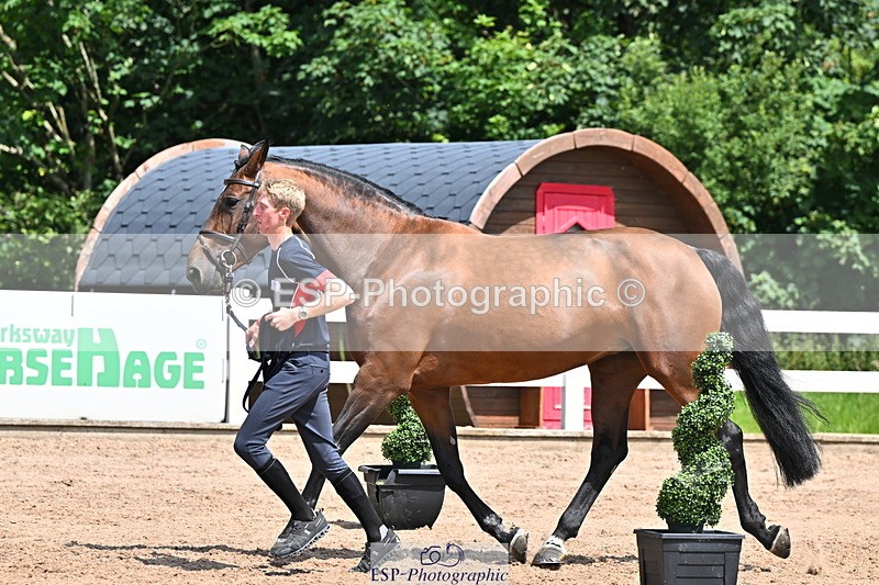 240718A-105249-01205 - Trot Up 12pm to 1pm