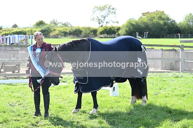 WJ7_1715 - 80cm Champs