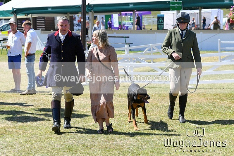 WJ5_1262 - Berks & Bucks at the Great Yorkshire Show 2025