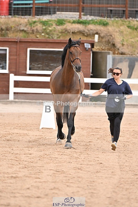 250716-151224-01757 - Trot Up 2.30 to 3.30