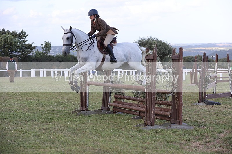 JPP_3634 - Class 24: Open Working Hunter