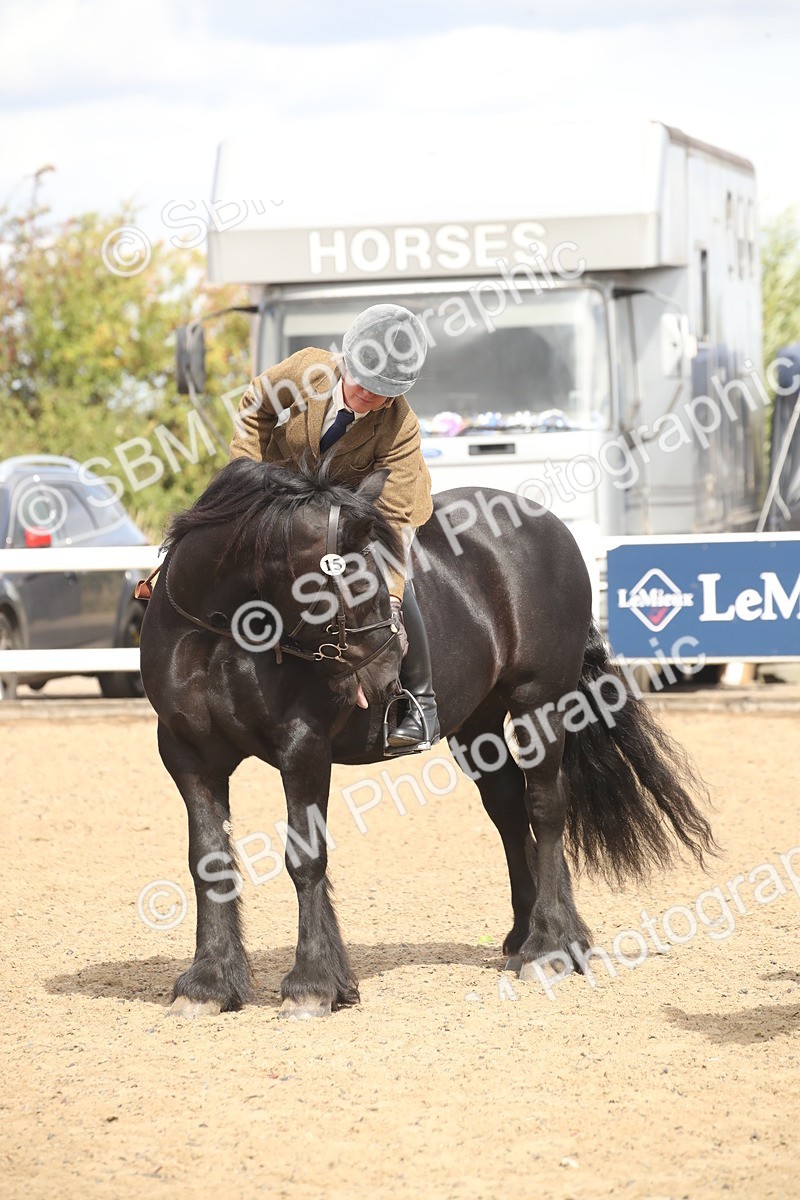 SBM_14581 - Class 505a - M&M Working Veteran - 50cm (15-19)