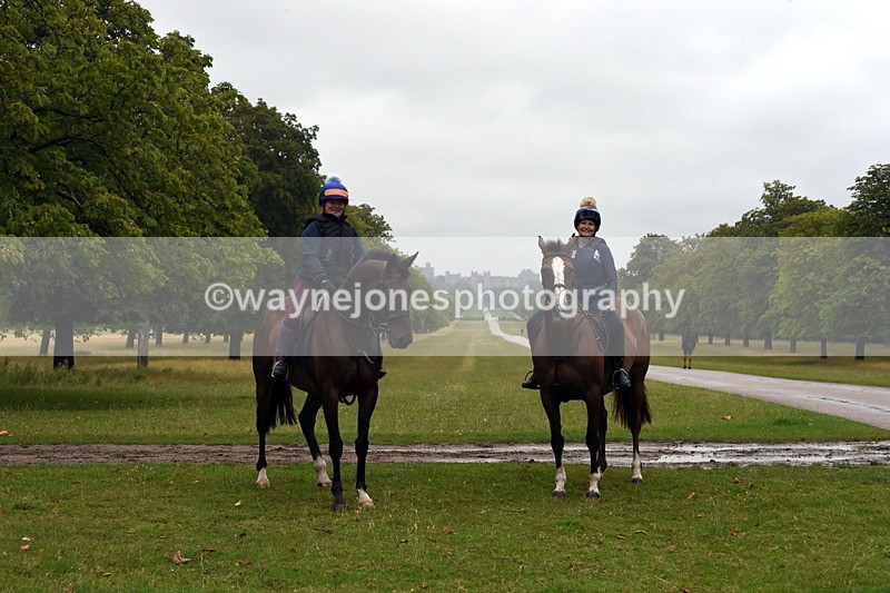 TT3_8138 - Time at Crossing 09:15 to 10:15