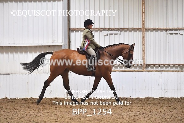 BPP_1254 - RING 2