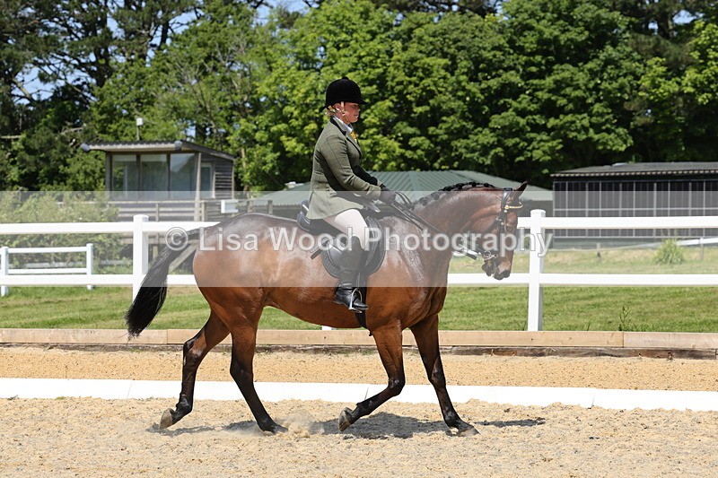 1X9A1800 - Class 12: Ridden Riding Horse/Hack