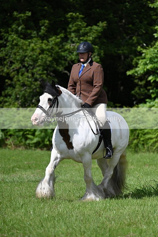 WJ7_1249 - Class 11 Condition & Turnout